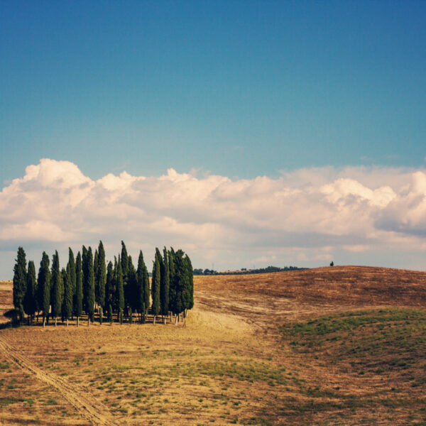 Travelling Tuscany